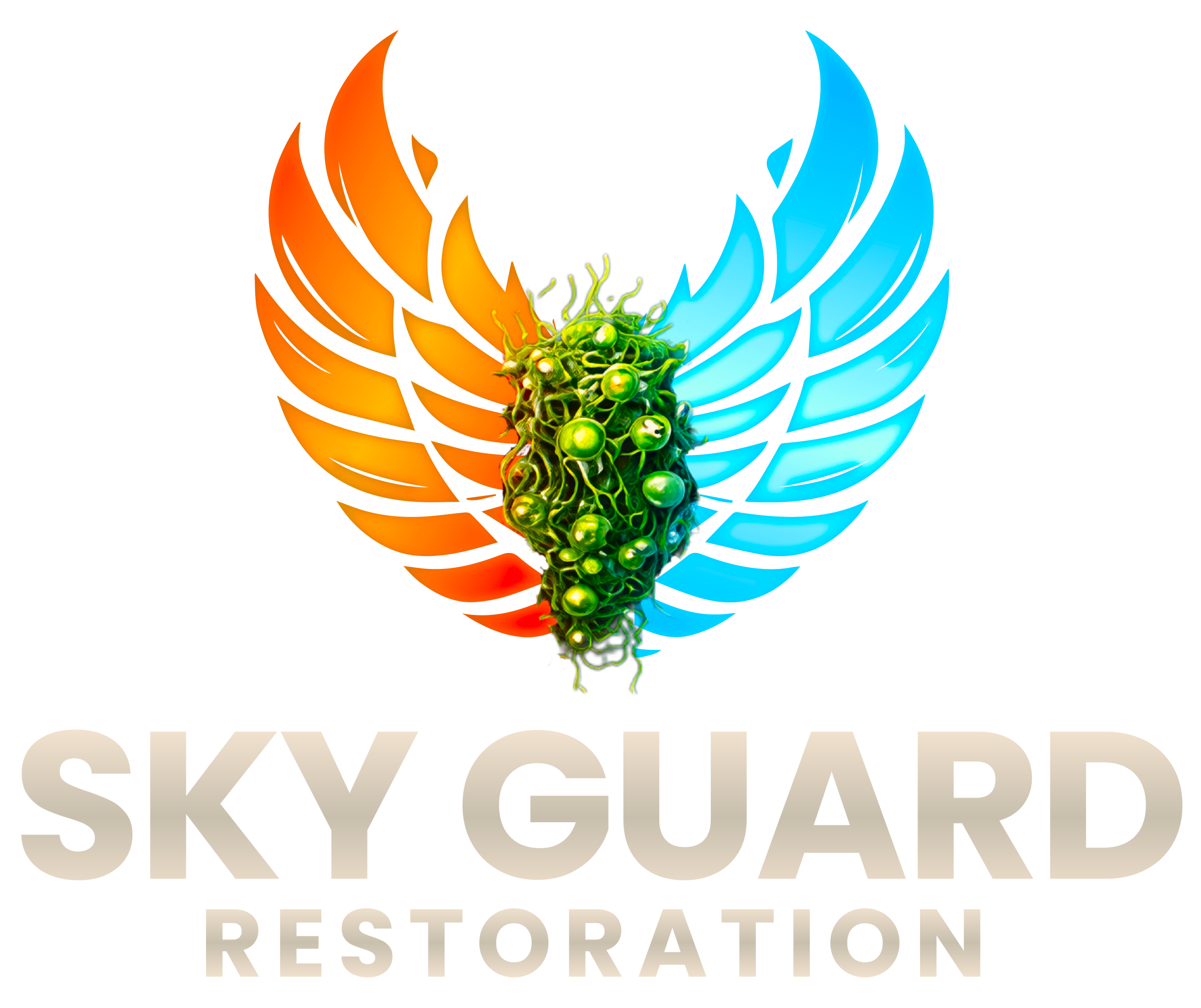 Sky guard resoration LLC